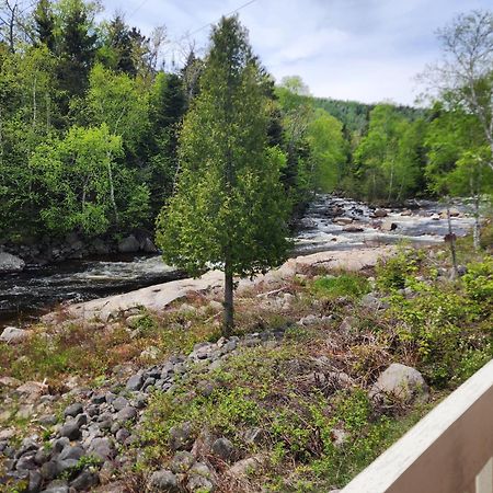 Saint-Siméon Motel Et Chalets Bo-Fleuve Evangeline المظهر الخارجي الصورة