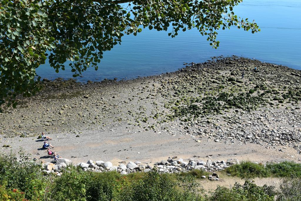 Saint-Siméon Motel Et Chalets Bo-Fleuve Evangeline المظهر الخارجي الصورة