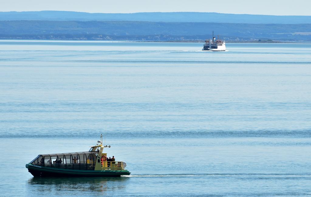 Saint-Siméon Motel Et Chalets Bo-Fleuve Evangeline المظهر الخارجي الصورة