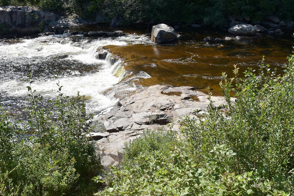 Saint-Siméon Motel Et Chalets Bo-Fleuve Evangeline المظهر الخارجي الصورة