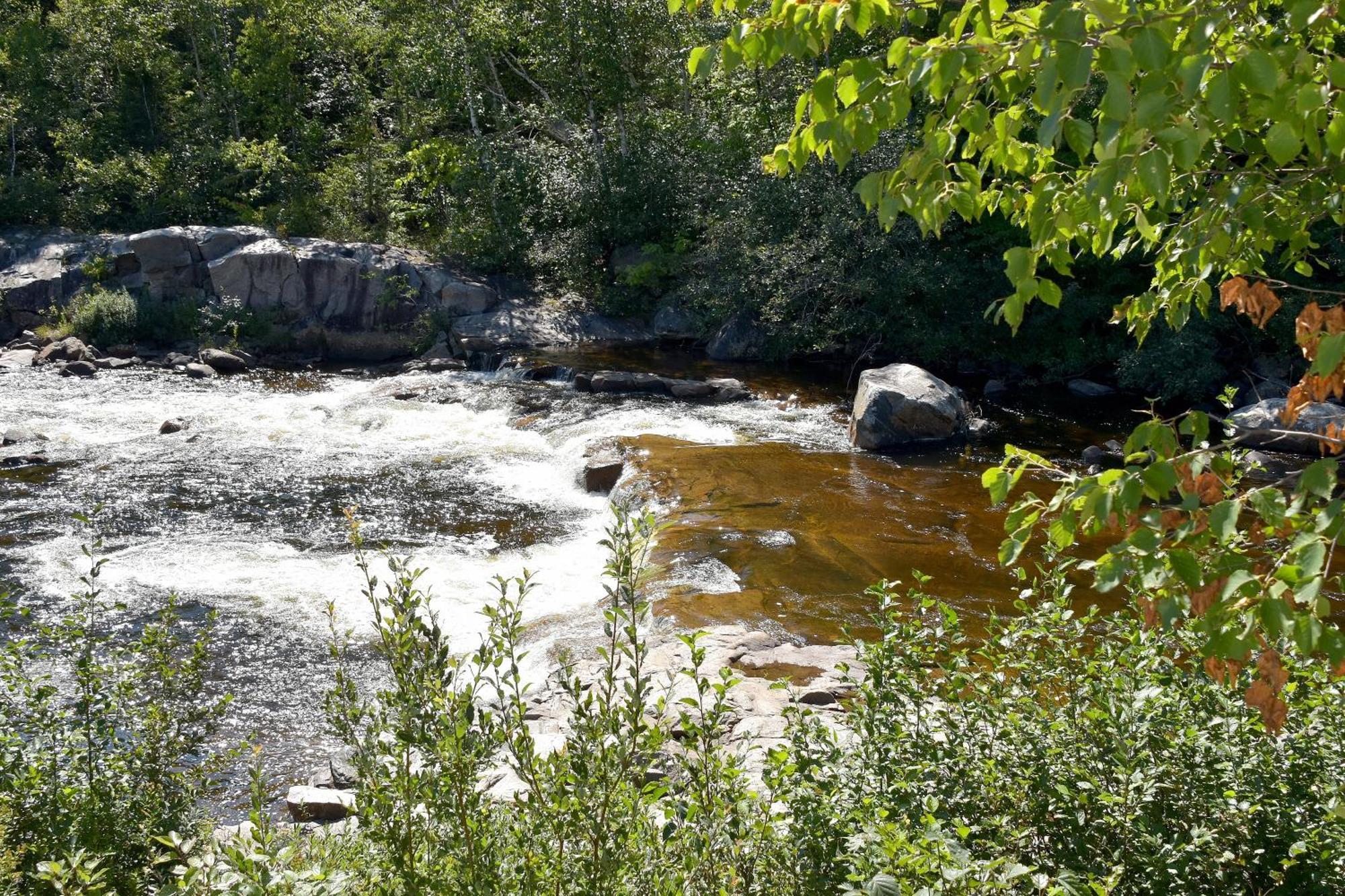 Saint-Siméon Motel Et Chalets Bo-Fleuve Evangeline الغرفة الصورة