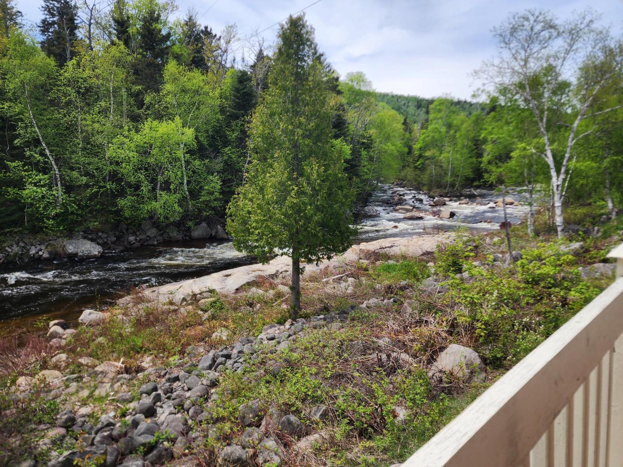 Saint-Siméon Motel Et Chalets Bo-Fleuve Evangeline المظهر الخارجي الصورة