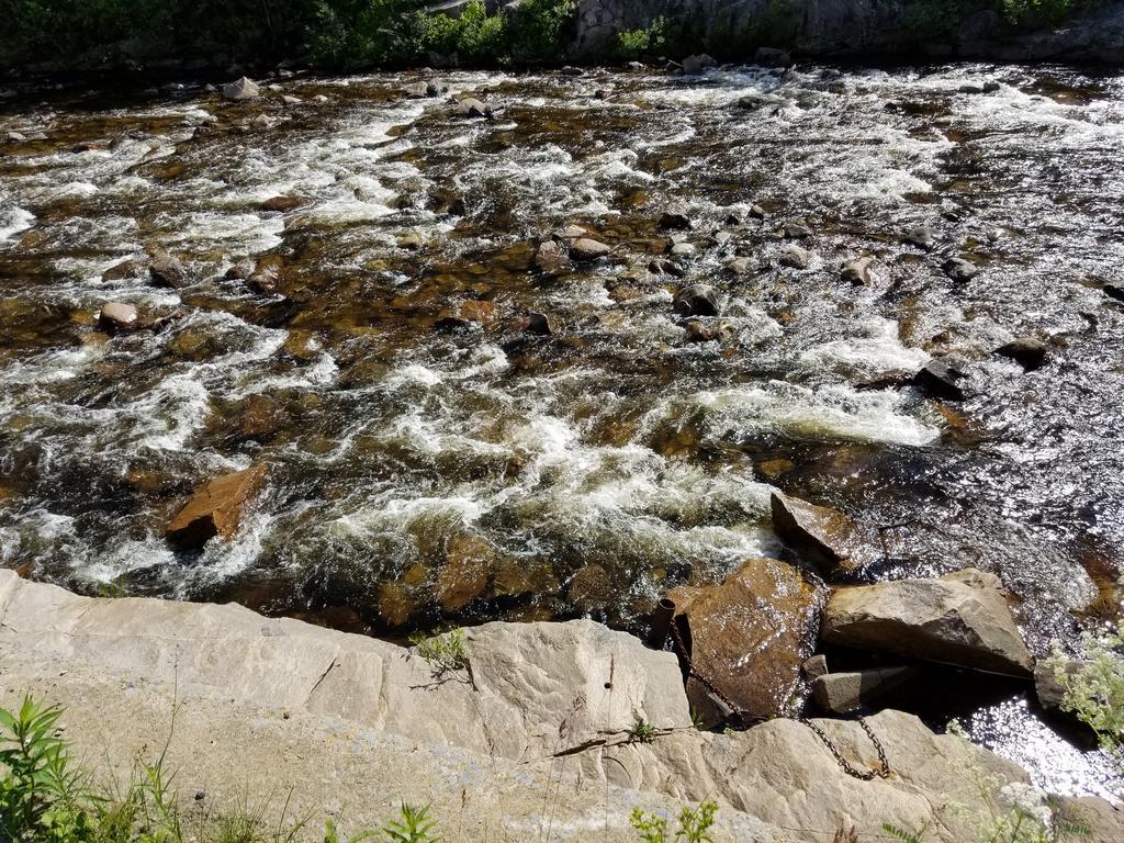 Saint-Siméon Motel Et Chalets Bo-Fleuve Evangeline المظهر الخارجي الصورة