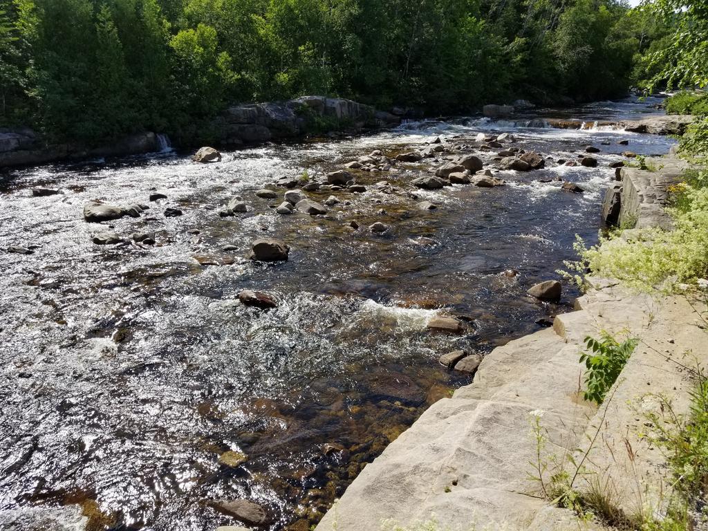 Saint-Siméon Motel Et Chalets Bo-Fleuve Evangeline المظهر الخارجي الصورة